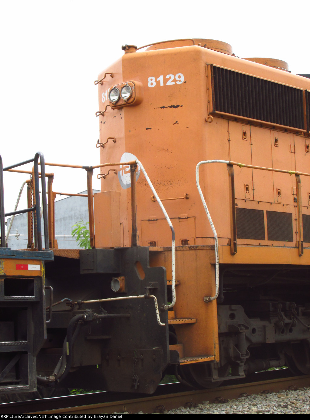 FCA 8129